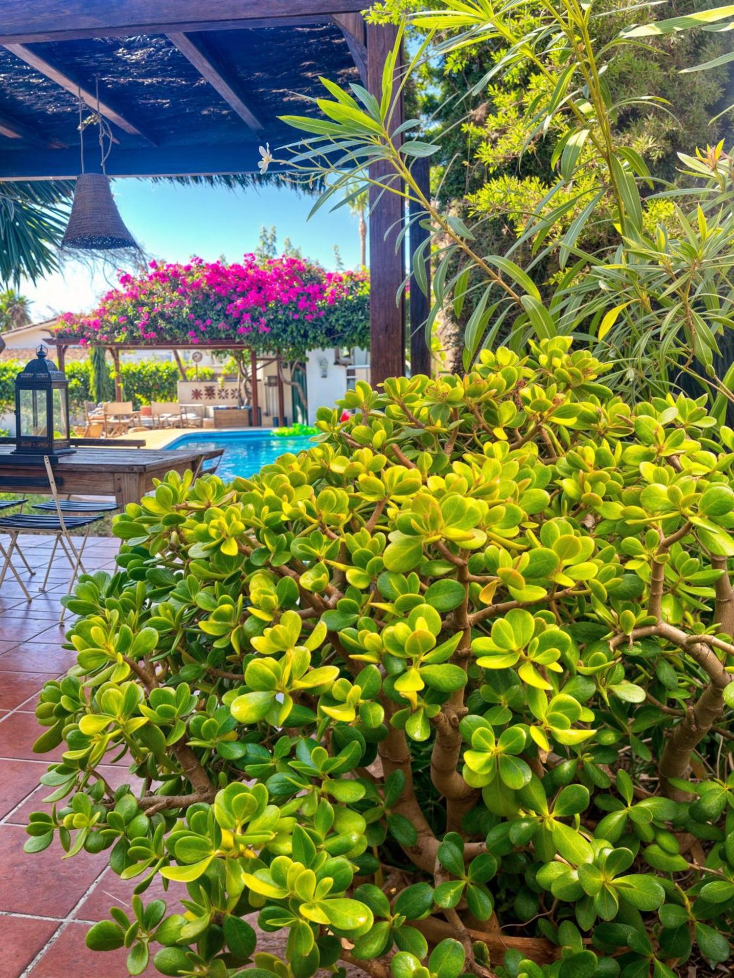 Villa Alfredo - Private Pool Next To The Beach Estepona Exterior photo